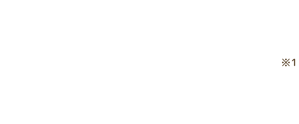 ※1